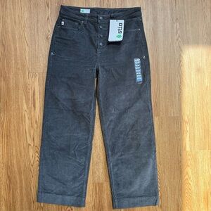 NWT Stio Rivet Wide Leg Cord